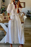 Fashion Street Solid Frenulum Turndown Collar A Line Dresses
